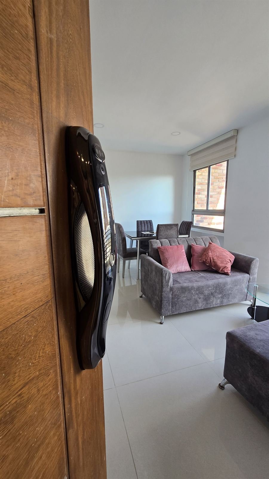 Sala del apartamento 2 con sofá y cojines rosados